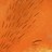 Lupencia profile pic