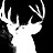 meshrin profile pic