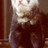 ferretsarecool profile pic