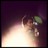 colorstoobright profile pic