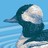 uglyducknyc profile pic