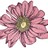 leonore_ profile pic