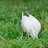 glowind profile pic