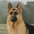 Koscky profile pic