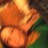 Nurblets profile pic