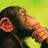 juhu profile pic