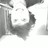 dimatt profile pic