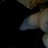 jaclyncanhas profile pic