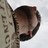 warwickswr profile pic
