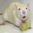 Bellaratta profile pic