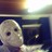 TommyM profile pic