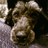 InesBernadette profile pic