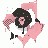 Canis-Mesomelas profile pic