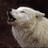 lwkeba profile pic