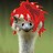 sarahtomic profile pic