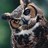 Ark Azimuth profile pic