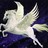 Ferdinand_Marin profile pic