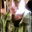 Andre_Sutherland profile pic