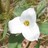 asfi235 profile pic
