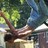 a1cshowoff profile pic