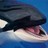 sonicboone profile pic