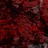 AbstractAngel profile pic