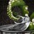 Ezekhiel2517 profile pic
