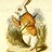 Quixote profile pic