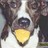 delocomigs profile pic