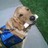 WallisB profile pic