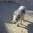 MsBess profile pic