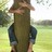 treehuggeretc profile pic