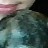 minkov profile pic