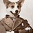 ciquar profile pic