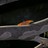 butterfly580 profile pic