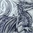 eagleflyte profile pic