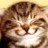 nulo profile pic