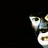 3plunkett profile pic