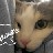 shewhositsandstares profile pic