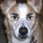 Tatorz profile pic