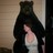 katystrikesagain profile pic