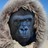 Gavzilla profile pic