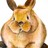 Karen Khoo Pin Joo profile pic