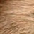 kradloff profile pic
