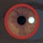 qyou profile pic