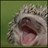 duchess_of_stl profile pic
