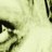 Bear Duffly profile pic