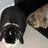 Marbles87 profile pic