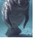 the manatee profile pic