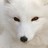 manowill profile pic